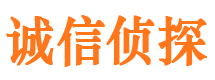 宝山区诚信私家侦探公司